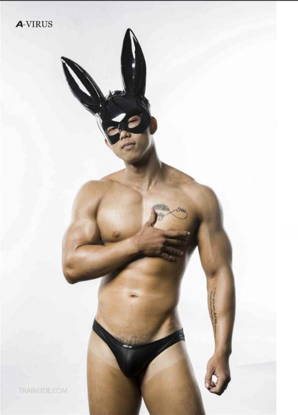 A-VIRUS-vol.04--ebook--video